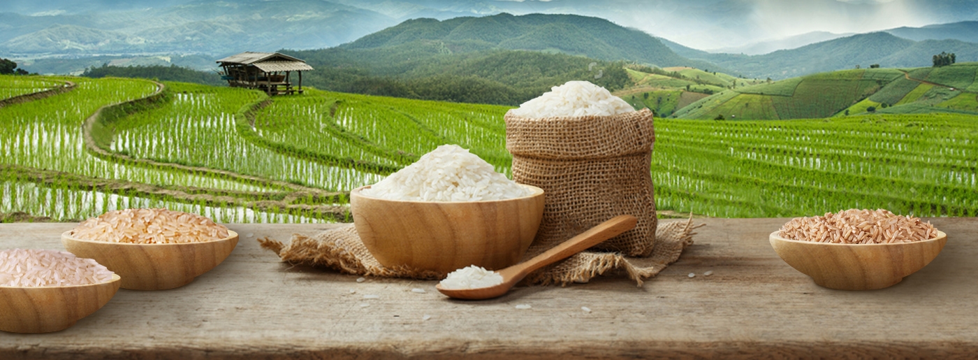 Αξία και χρήσεις του ρυζιού